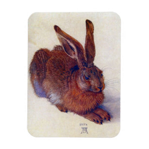 Young Hare by Albrecht Durer, Renaissance Fine Art Magneet