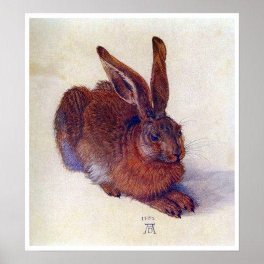 Young Hare by Albrecht Durer, Renaissance Fine Art Poster (Voorkant)