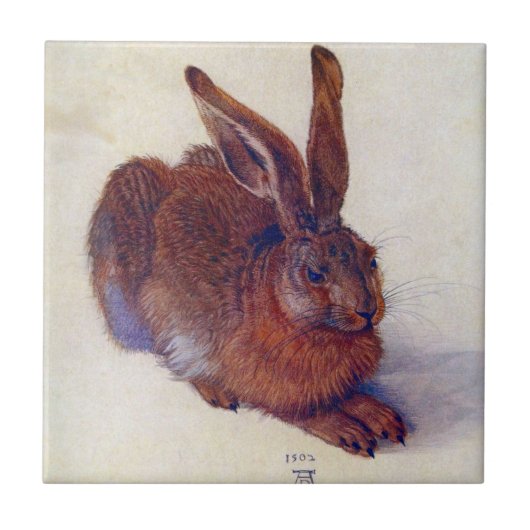 Young Hare by Albrecht Durer, Renaissance Fine Art Tegeltje (Voorkant)