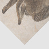 Young Hare by Albrecht Durer, Renaissance Fine Art Tissuepapier (Detail)