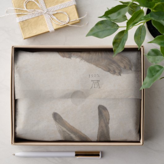 Young Hare by Albrecht Durer, Renaissance Fine Art Tissuepapier (Geschenk)