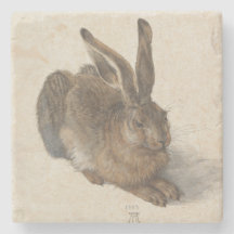Young Hare by Albrecht Durer