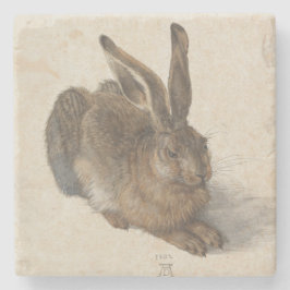 Young Hare by Albrecht Durer Stenen Onderzetter