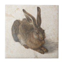 Young Hare by Albrecht Durer