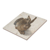 Young Hare by Albrecht Durer Tegeltje (Zijkant)