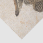 Young Hare by Albrecht Durer Tissuepapier (Detail)