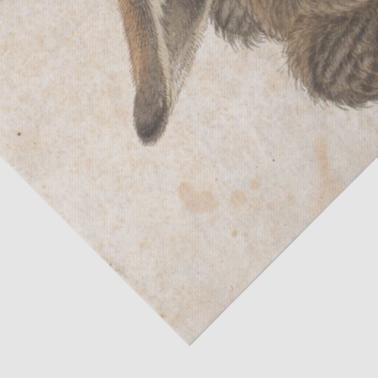 Young Hare by Albrecht Durer Tissuepapier (Detail)