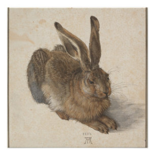 Young Hare (Durer 1502) Perfect Poster