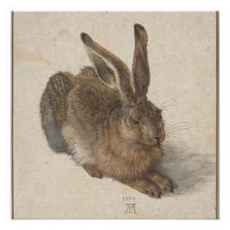 Young Hare (Durer 1502) Perfect Poster