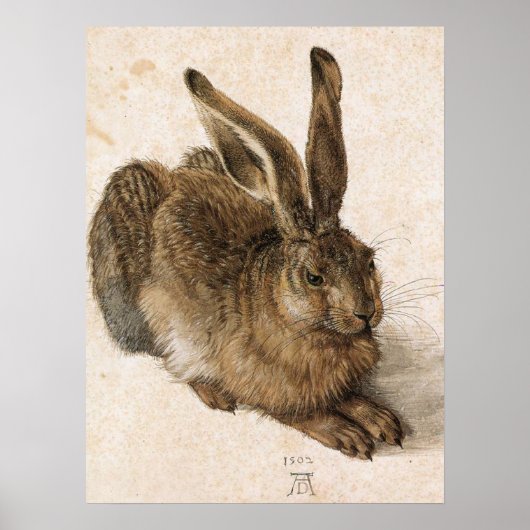 "Young Hare" Poster (Voorkant)