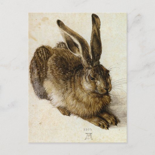 "Young Hare" van Albrecht Dürer Briefkaart (Voorkant)