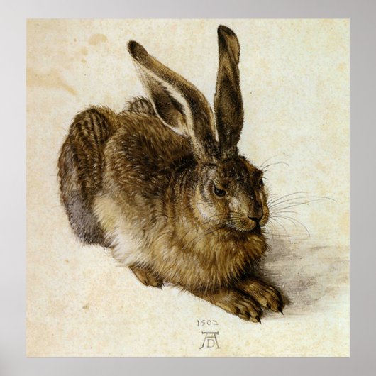 "Young Hare" van Albrecht Dürer Poster (Voorkant)