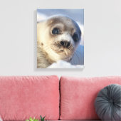 Young Harp Seal Canvas Afdruk (Insitu (Woonkamer))