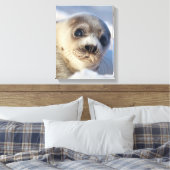 Young Harp Seal Canvas Afdruk (Insitu (Slaapkamer))