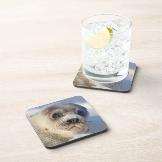 Young Harp Seal Drankjes Onderzetter (Rechterzijde)