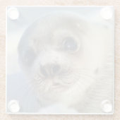 Young Harp Seal Glazen Onderzetter (Achterkant)