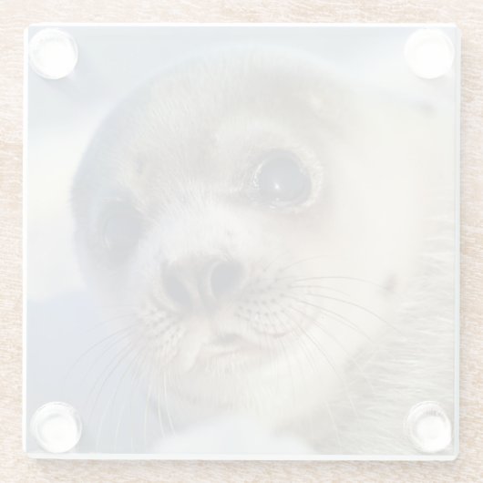 Young Harp Seal Glazen Onderzetter (Achterkant)