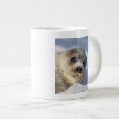 Young Harp Seal Grote Koffiekop (Voorkant rechts)