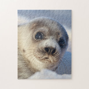 Young Harp Seal Legpuzzel