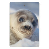Young Harp Seal Mini Klembord (Achterkant)