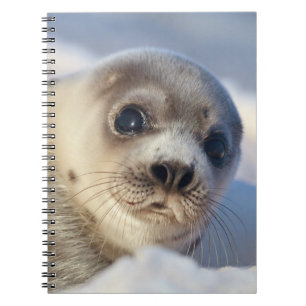Young Harp Seal Notitieboek