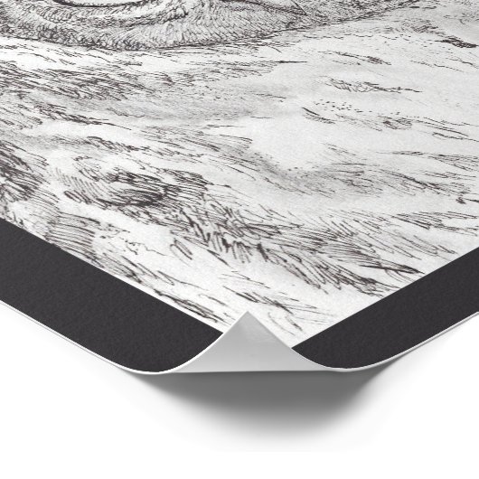 Young Hawk Owl Print (Hoek)