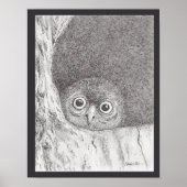 Young Hawk Owl Print (Voorkant)