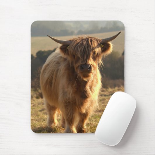 Young Highland Cow Muismat (Met muis)