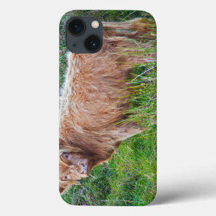 Young Highland Koe iPad Case