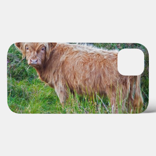 Young Highland Koe iPad Case (Achterkant (horizontaal))