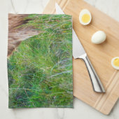 Young Highland Koe Kitchen Towel Theedoek (Quarter Fold)