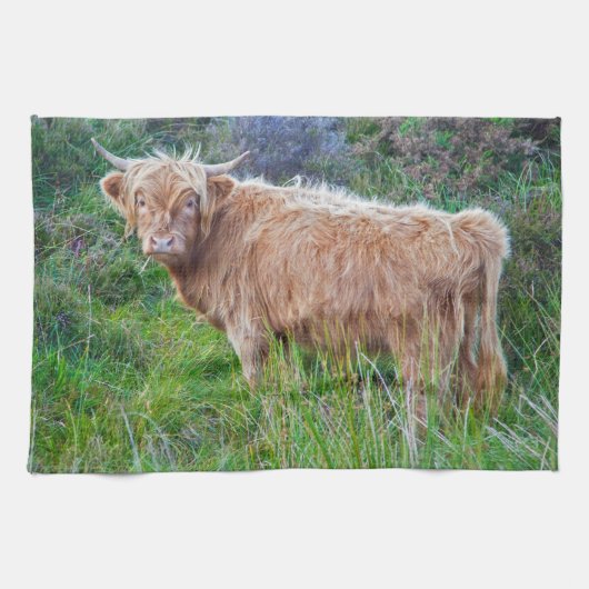 Young Highland Koe Kitchen Towel Theedoek (Horizontaal)