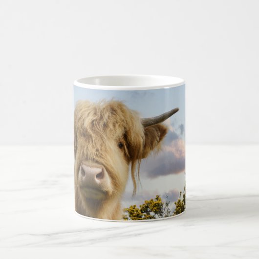 Young Highland Koe Koffiemok (Center)