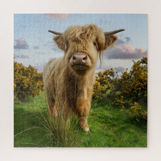 Young Highland Koe Legpuzzel (Verticaal)