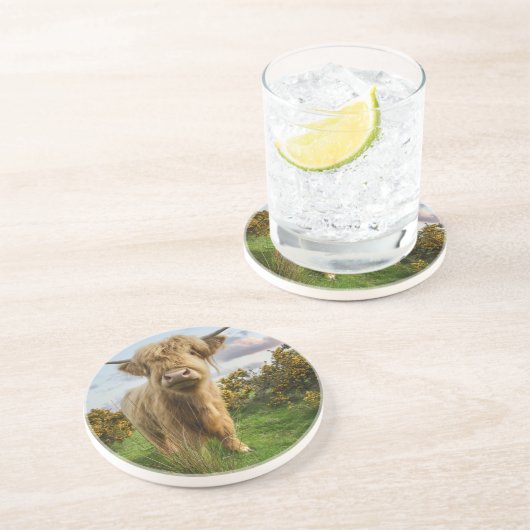 Young Highland Koe Zandsteen Onderzetter (Zijkant)