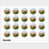 Young Highland Koeien Fleece Blanket Ronde Sticker (Vel)