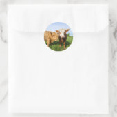 Young Highland Koeien Fleece Blanket Ronde Sticker (Tas)