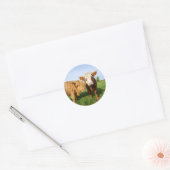 Young Highland Koeien Fleece Blanket Ronde Sticker (Envelop)