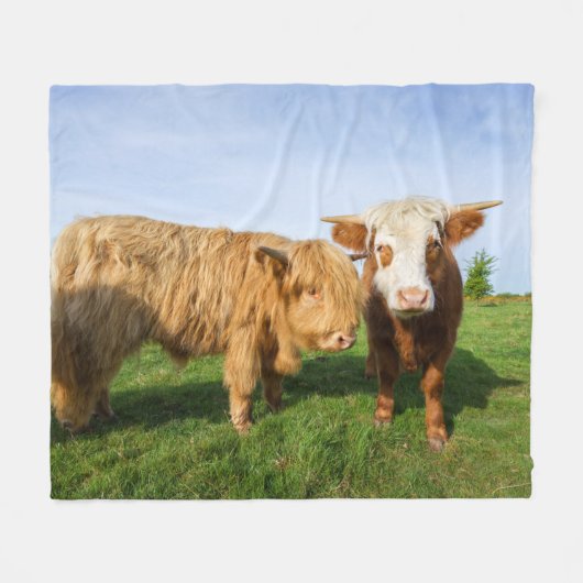 Young Highland Koeien Fleece Deken (Voorkant (Horizontaal))
