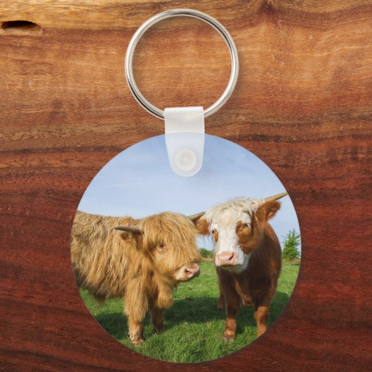 Young Highland Koeien Sleutelhanger (Voorkant)