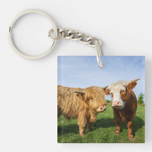 Young Highland Koeien Sleutelhanger (voorkant)