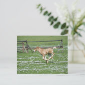 Young Horse Running Briefkaart (Staand voorkant)