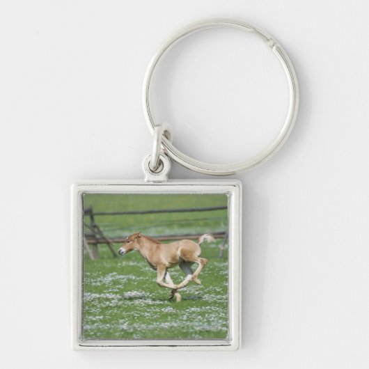 Young Horse Running Sleutelhanger (Voorkant)