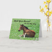 Young Horse Verjaardag Kaart (Gele Bloem)