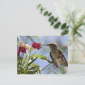 Young Hummer Briefkaart (Staand voorkant)