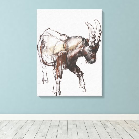 Young Ibex Gran Paradiso 2005 Canvas Afdruk (Insitu (Houten vloer))