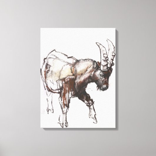 Young Ibex Gran Paradiso 2005 Canvas Afdruk (Voorkant)