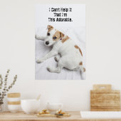 Young Jack Russell Terrier Poster (Keuken)