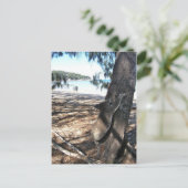 Young Koala, Geoffrey Bay, Magnetic Island Briefkaart (Staand voorkant)