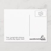 Young Koala, Geoffrey Bay, Magnetic Island Briefkaart (Achterkant)